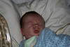 Suzanne Darley (Suzanne) > Alexander - March 2007 photo