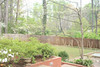 Suzanne Darley (Suzanne) > April 14, 2008 - Atlanta, GA photo