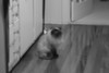 Suzanne Darley (Suzanne) > May 2007 photo