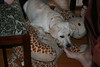Suzanne Darley (Suzanne) > March 2008 - Atlanta, GA photo