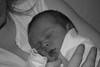 Alexander is born! : 